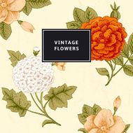 Vintage card with Flowers N11