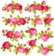 decoration of rose N49