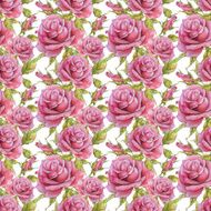 Seamless pattern with watercolor roses N7