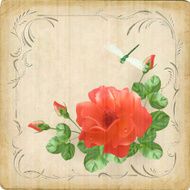 Vintage flower dragonfly retro card border frame