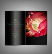 black elegant vector brochure with red poppies