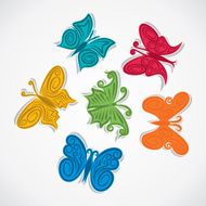 Colorful Butterfly N12