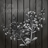 Beautiful flowers on a wooden texture N7
