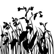 Silhouettes of flowers and grass N30