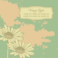 Vintage floral card with chamomiles N2