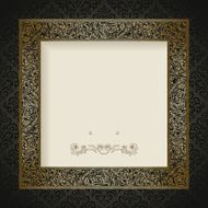 Vintage Frame N175