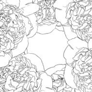 frame of monochrome graphic peonies
