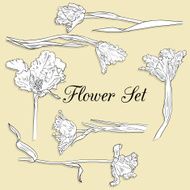 Set of linear drawing tulips