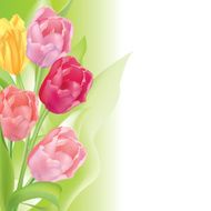 Flower background N109