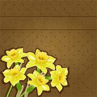narcissus bouquet N2
