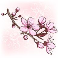 cherry blossom N31