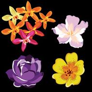 Flowers icon set