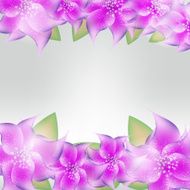 Stylish Floral Background Vector Illustration N8
