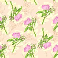 Seamless roses pattern N26