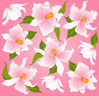 Vector background with beautiful pink orchids