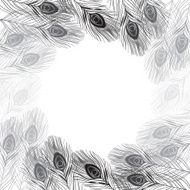 Vector frame with peacock feathers and place for text N3