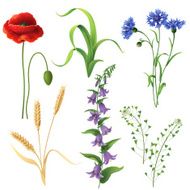 Wildflowers Set N3