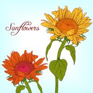 floral card with sunflowers N3