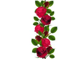 Seamless red roses pattern N3