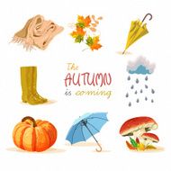 Autumn Background N77