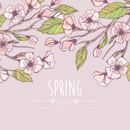 Blossoming Spring Branch Vector illustration N5