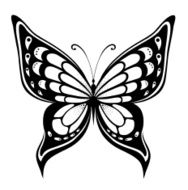 Ornamented abstract silhouette butterfly N22