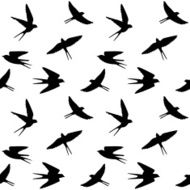 Spring Birds N5