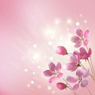 Shining pink flowers background N2