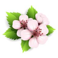 Spring flowers vector illustration N3