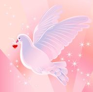 dove and heart N4