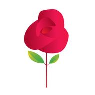 Red rose N34