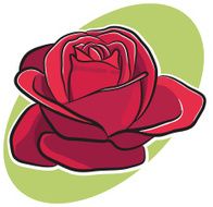 Rose N68