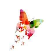 butterfly N84