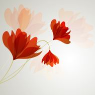 Flower vector background N3