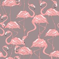 Seamless pattern of flamingos N4