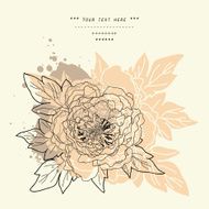 Beautiful peony bouquet design Hand drawn vector illustration N4