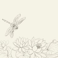 Lotus flower and dragonfly N5