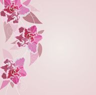Floral background N1028