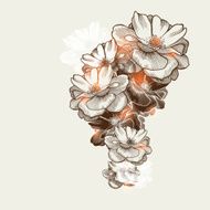 Floral background with flowering roses hand-drawing Vector illustration Eps10 N2
