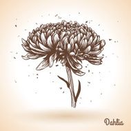 Vintage hand drawing background with flowers N2