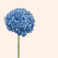 Floral background N1030