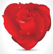 abstract heart shaped rose