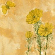 painting floral card N7