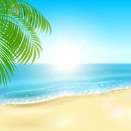 Tropical Beach N6