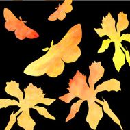 silhouettes of butterflies and narcissus N2