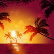 Tropical Sunrise