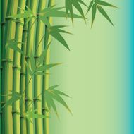 background with bamboo leaves and stems