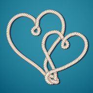 heart N310