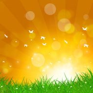 Spring Birds Flight