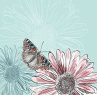 butterfly N85